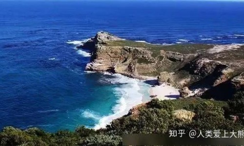心肌细胞修复最新进展、吃什么营养心肌细胞 -心细胞恢复吃什么食物有哪些网