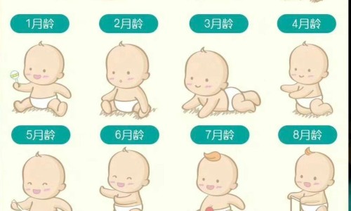 心细胞会再生吗-心肌细胞修复最新进展、吃什么营养心肌细胞 -心细胞恢复吃什么食物有哪些网